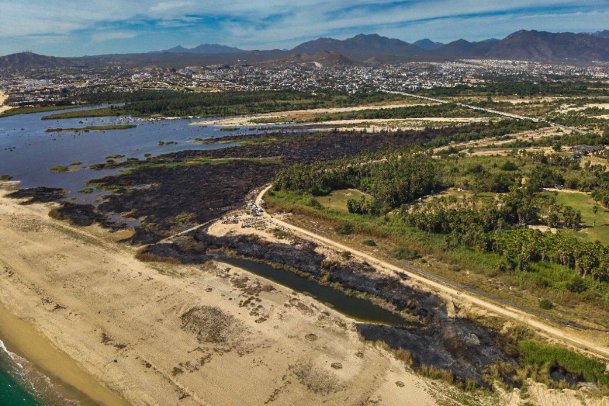 Incendio en estero de San José del Cabo. Foto: