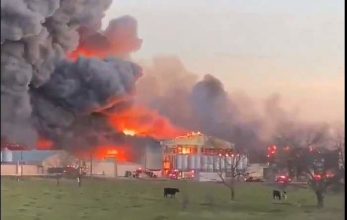Incendio consume toda una granja de pollos ubicada en la zona rural de Kurten en Texas. Foto. Captura de Imagen