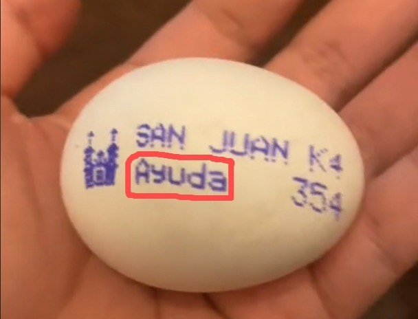 El huevo en cuestión es de la marca San Juan y debajo de la marca se puede leer ‘Ayuda’. Foto: TikTok @Diachello.