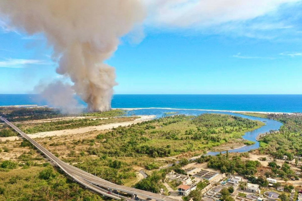 Incendio en zona del palmar de San José del Cabo. Foto: Ayuntamiento de Los Cabos