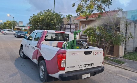 Quintana Roo rompe récord de casos de dengue: más de 5k infectados y 22 muertos