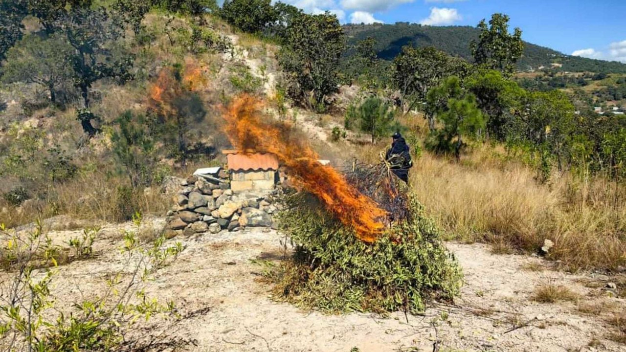 En los operativos realizados por las fuerzas federales, estatales y locales han destruido las bases de vigilancia de la Familia Michoacana. Foto: Sedena