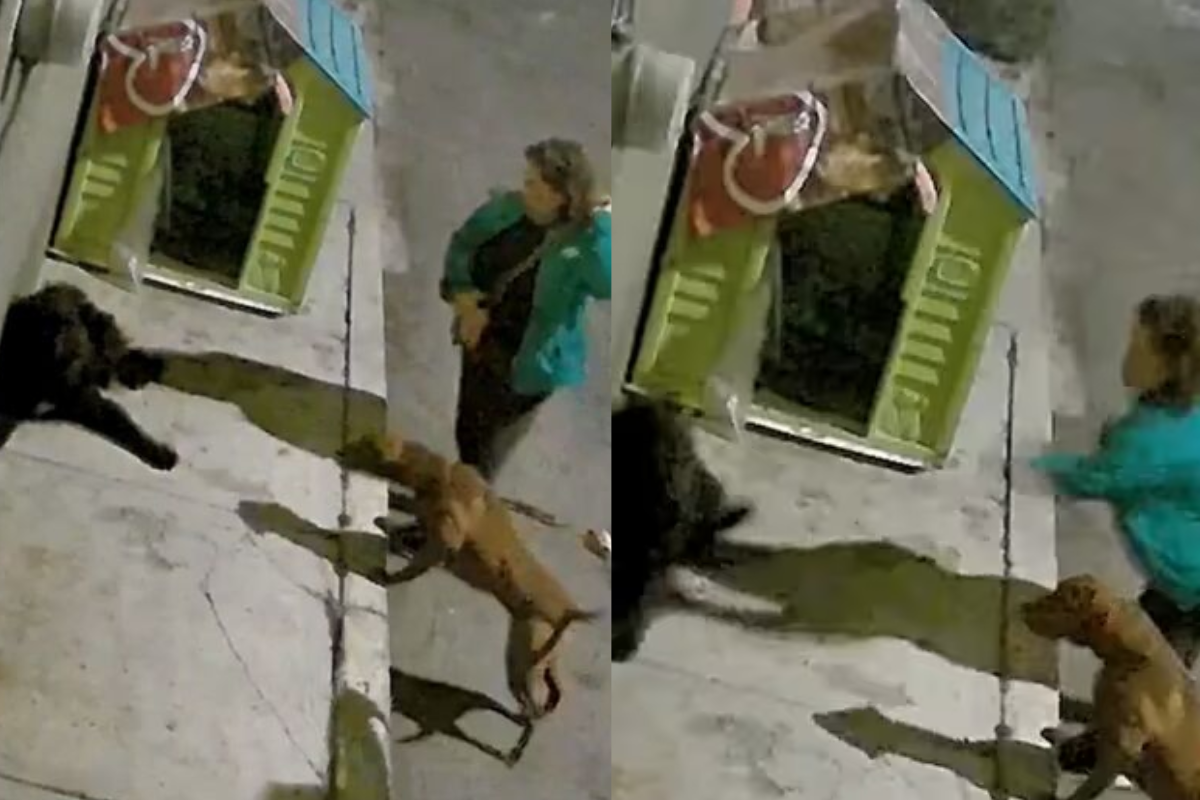 ¡Con los perritos no!, exhiben a mujeres que agredieron a animal en Iztapalapa. Foto: Captura de pantalla