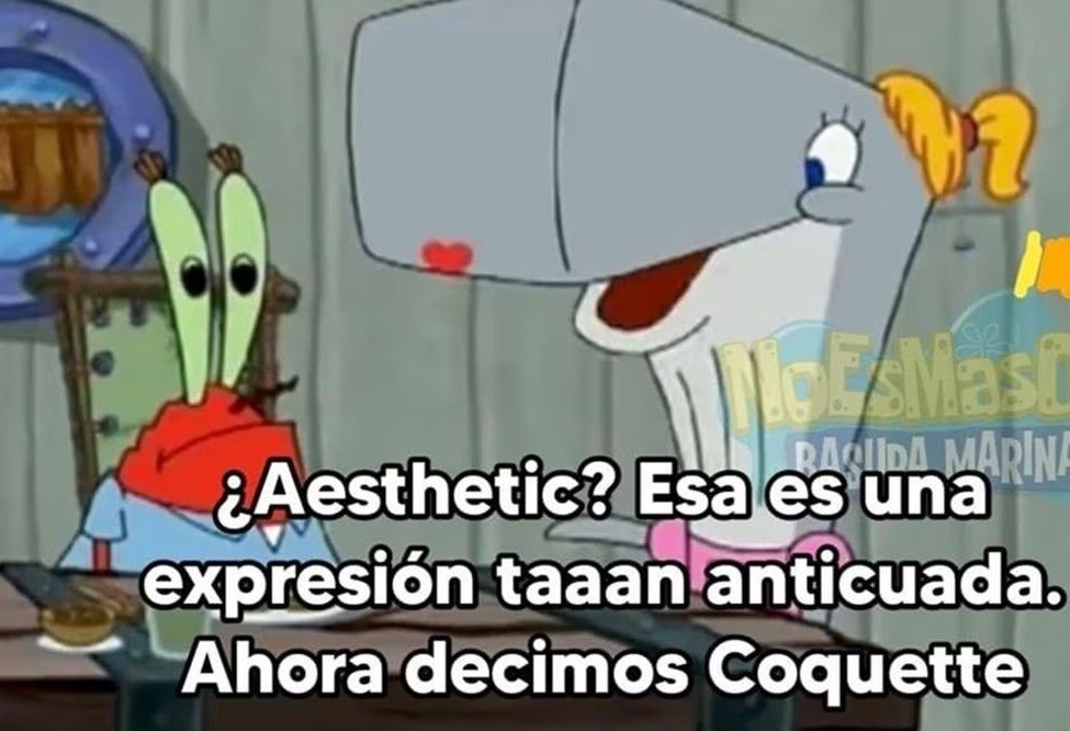 El hecho de que el estilo o la moda coquette se haya vuelto viral, también se prestó para que algunas personas hicieran memes. Foto: Facebook.