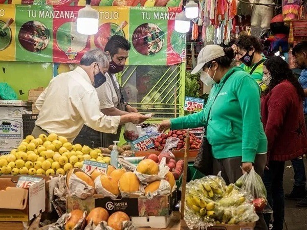 En números positivos cierra la papa en 16 pesos, además del chile serrano en 16 y el jalapeño en 20 pesos por kilo. Foto: MXPolítico.