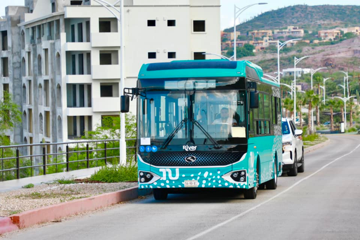 Transporte público 'Tiburón Urbano' operará con 4 rutas en primera etapa. Foto: X @quirogamilena_