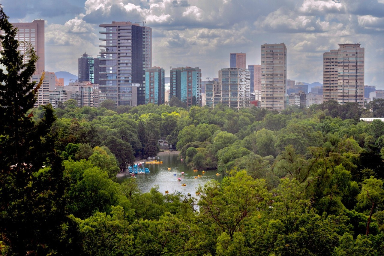 Descubre las actividades diferentes y divertidas que podrás realizar en el Bosque de Chapultepec. Foto: @SEDEMA_CDMX