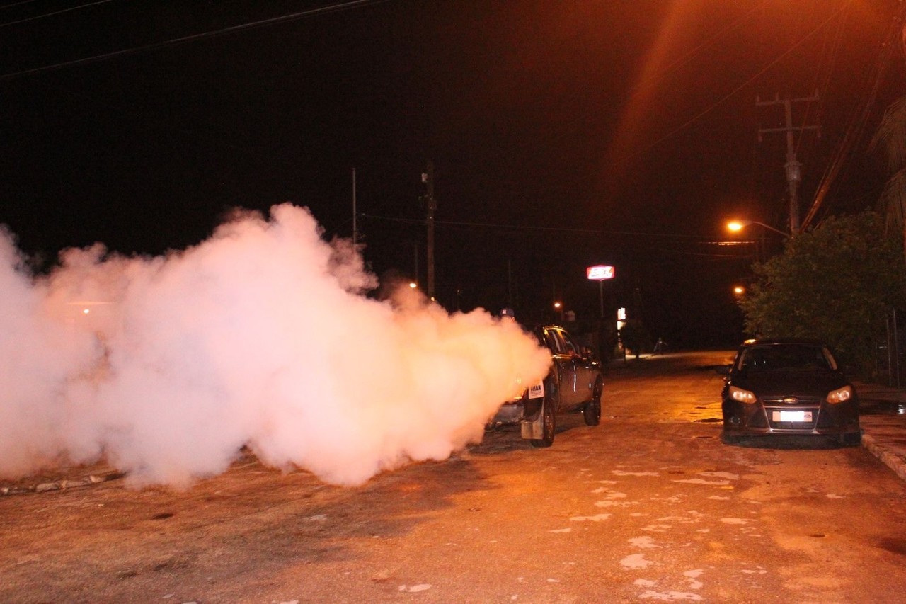 En la entidad se han reportado casos graves de dengue en el municipio Fotos: OMAR XOOL MONTELONGO