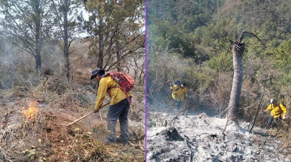 Presentará Gobierno de Coahuila estrategia para combatir incendios forestales