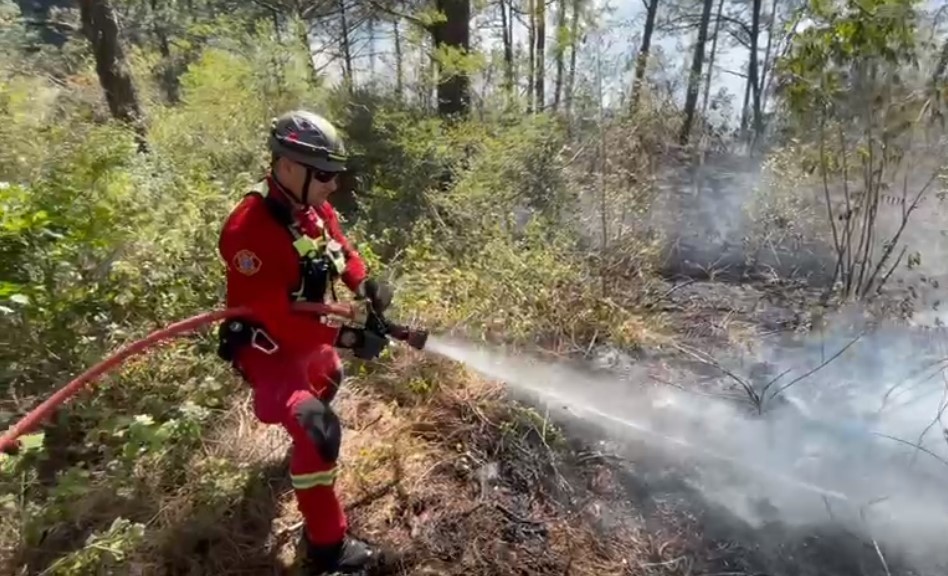 Incendio forestal en la Sierra de Santiago, Nuevo León: Protección Civil en acción