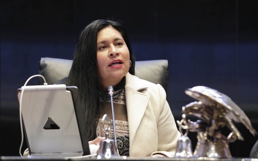 Senado cumplirá con nombramientos de magistrados electorales: Ana Lilia Rivera Foto: Senado