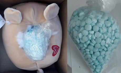 Aseguran mil pastillas de fentanilo ocultas en muñeco de peluche en Sinaloa