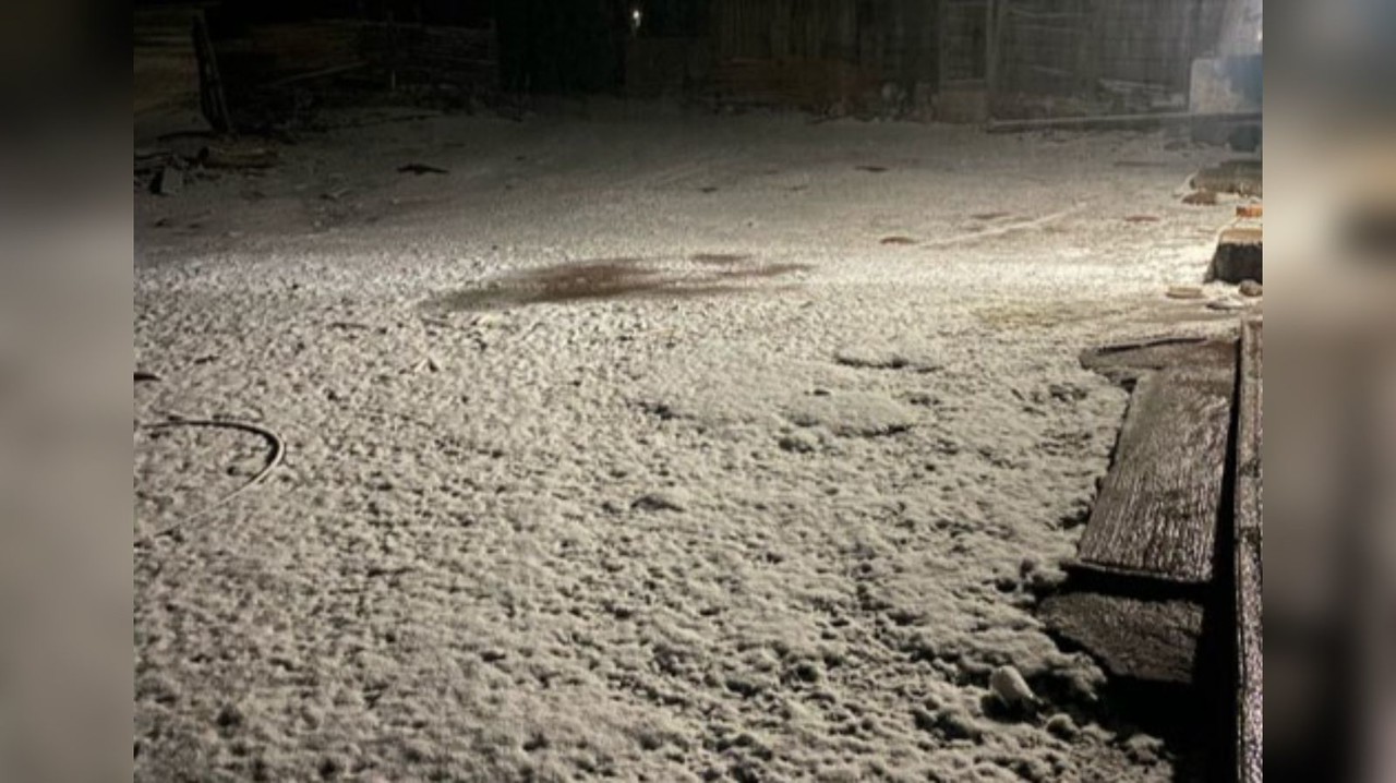 El municipio de Guanaceví pasará la noche bajo el manto blanco de la nieve. Foto: X CONAGUA Durango.