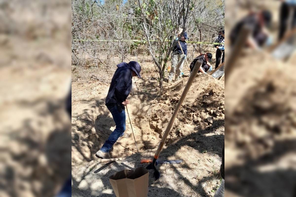 Localizan fosa con más de 100 restos humanos en Los Cabos