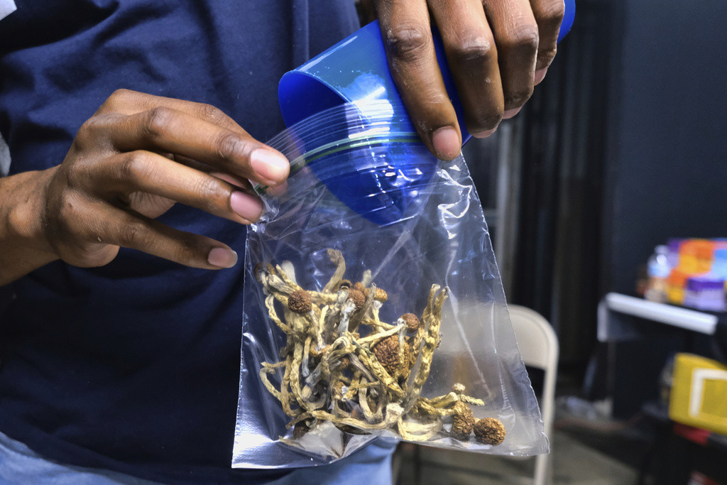 Un vendedor guarda en una bolsa unos hongos psicodélicos en una tienda de cannabis, el 24 de mayo de 2019, en Los Ángeles. (AP Foto/Richard Vogel, Archivo)