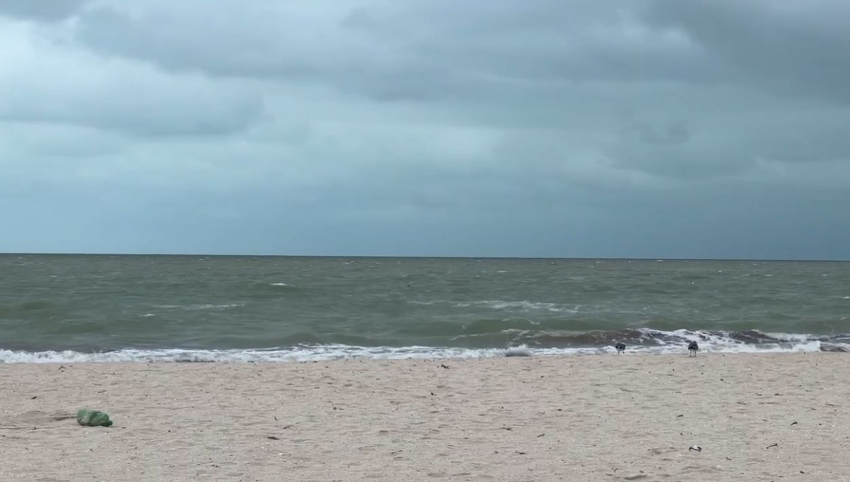 Clima en Yucatán: Pronostican fuerte ingreso del frente frío “Tuk” este domingo