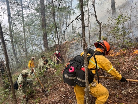 Protección Civil Nuevo León combate incendio en Las Adjuntas: 14 hectáreas afectadas