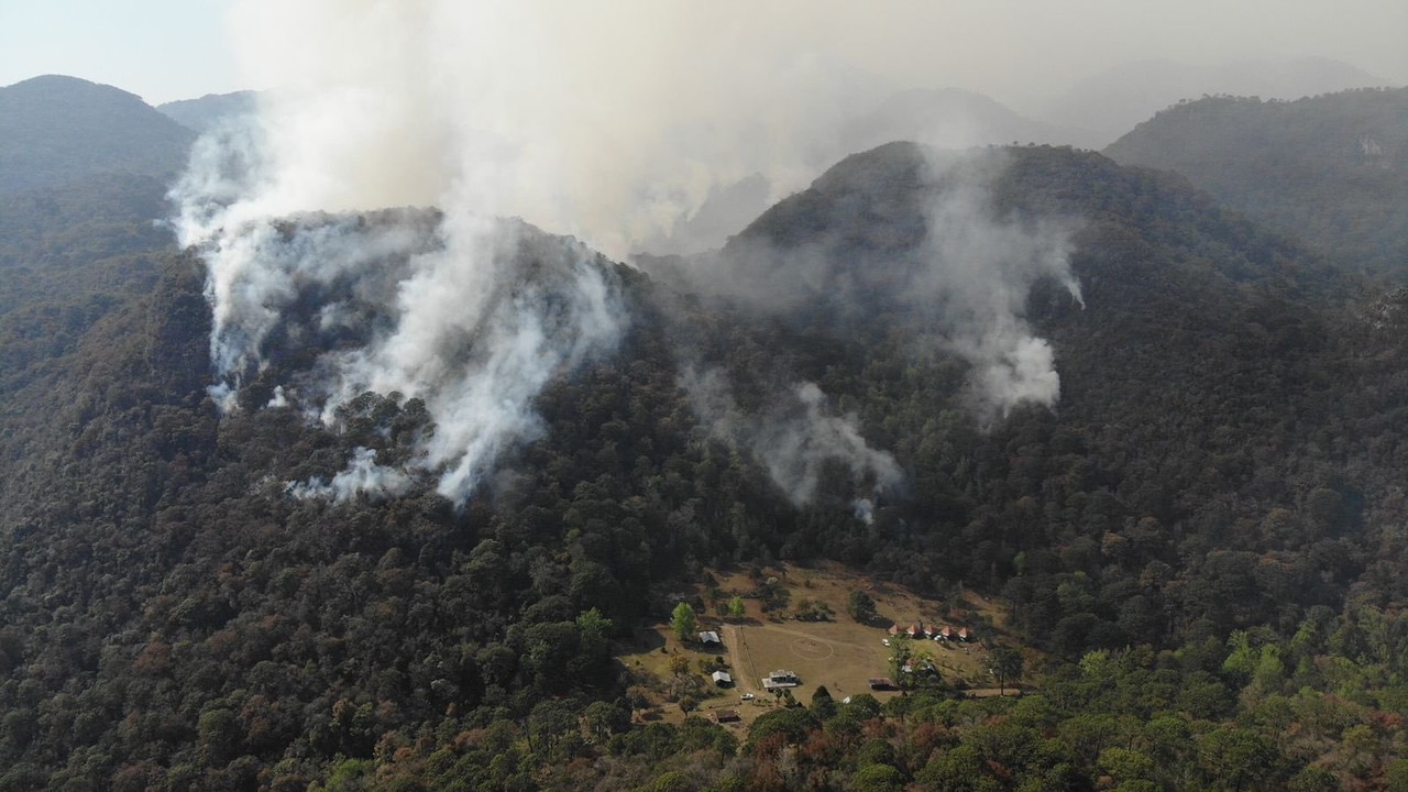 Por sequía intensa se podrían generar incendios forestales en Tamaulipas