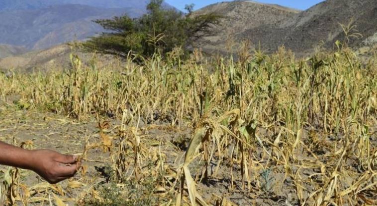 Dejarán sin agua a agricultores de Tamaulipas