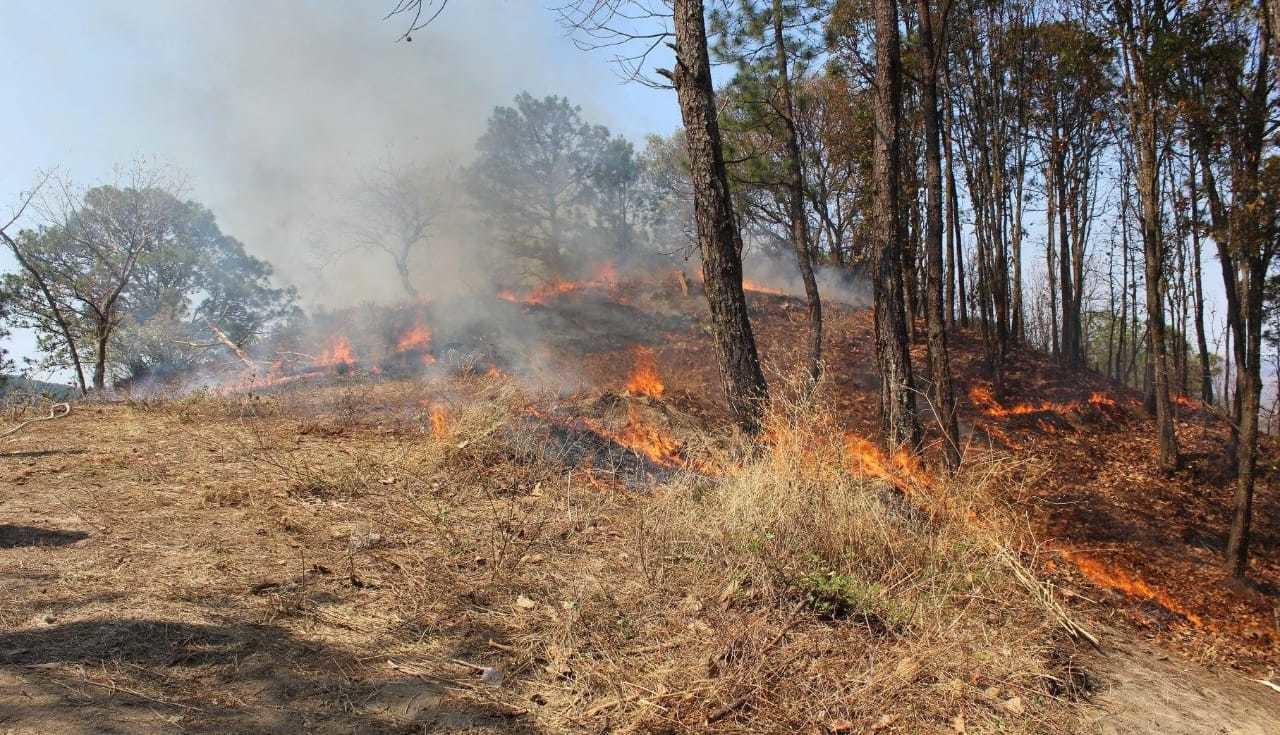 Aumento significativo de incendios forestales en el Edoméx