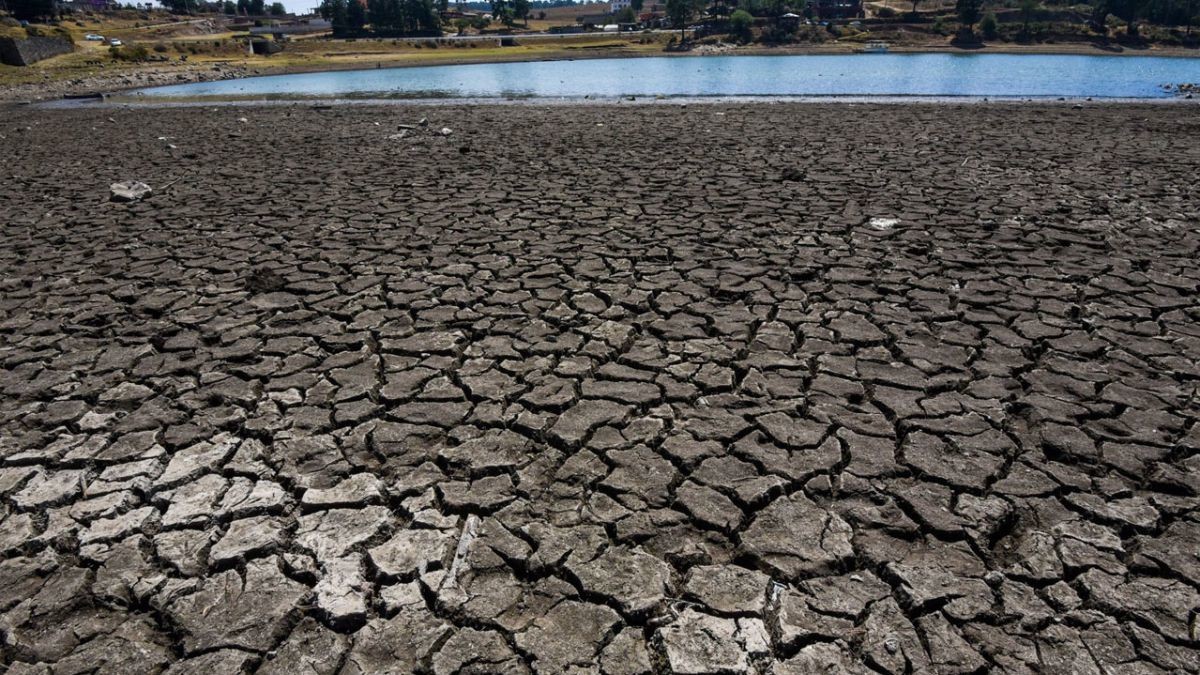 Abruma la sequía 122 municipios de Edomex, la situación es crítica