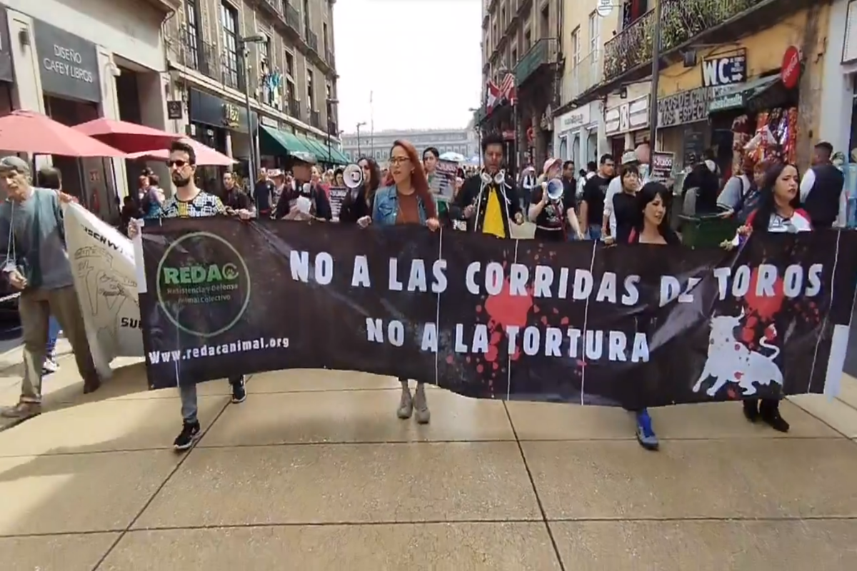 Manifestantes frente al Congreso exigen la prohibición de las corridas de toros