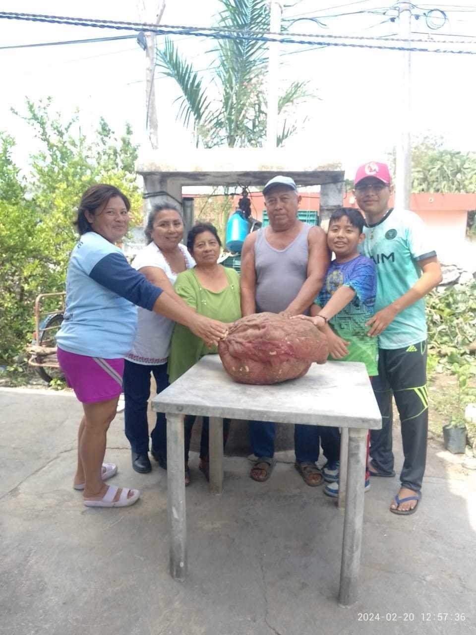 Yucateco se vuelve viral en redes por vender un camote de 22 kilos