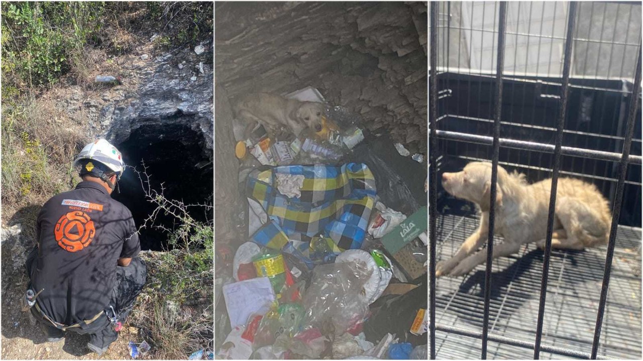 Rescatan a perrito en pozo tipo noria lleno de basura en La Estanzuela (VIDEO)