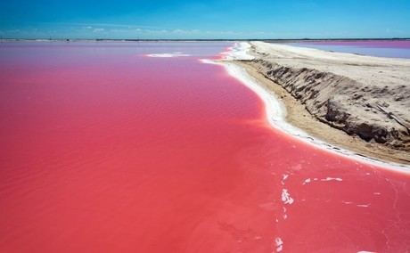 ¿Cuándo es la mejor temporada para ir a visitar el ‘mar rosa’ de Las Coloradas?