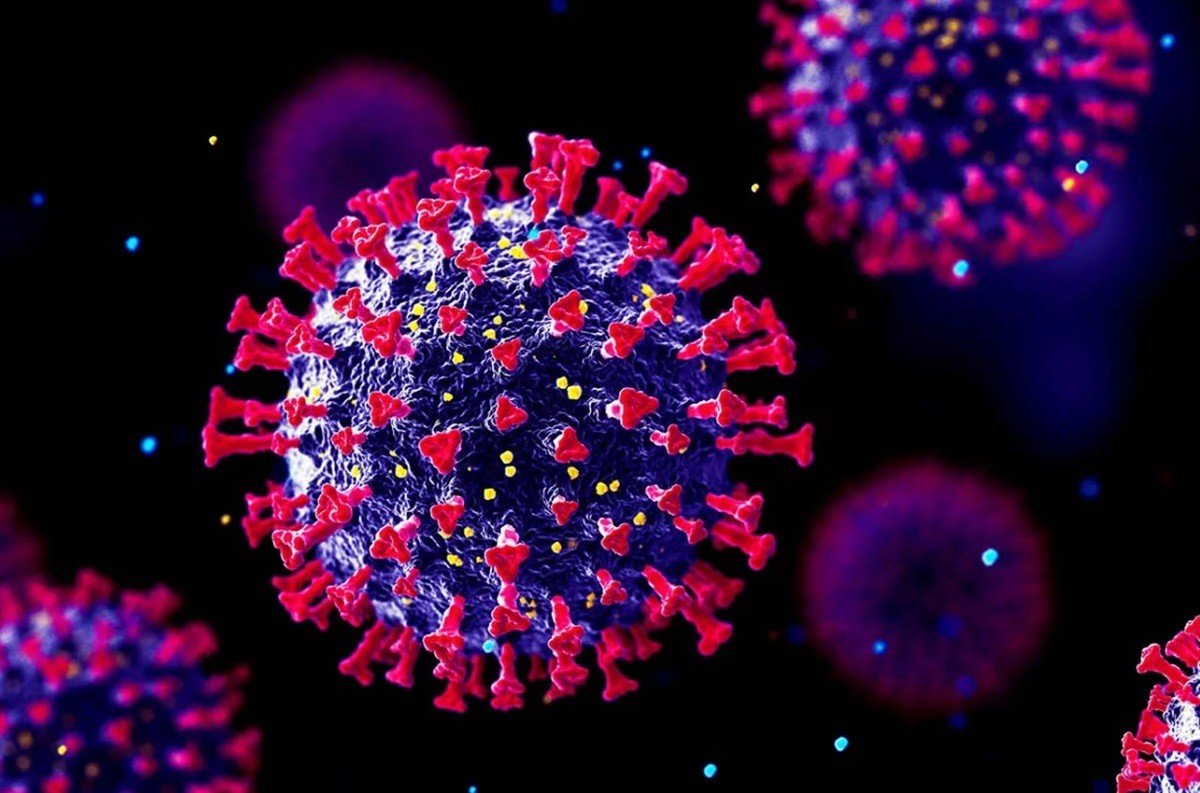 La viruela de Alaska (Alaskapox) está causada por un Orthopoxvirus, el cual infecta a mamíferos —incluidos los humanos en ocasiones— y provoca lesiones cutáneas. Foto: Northeastern Global News - Northeastern University