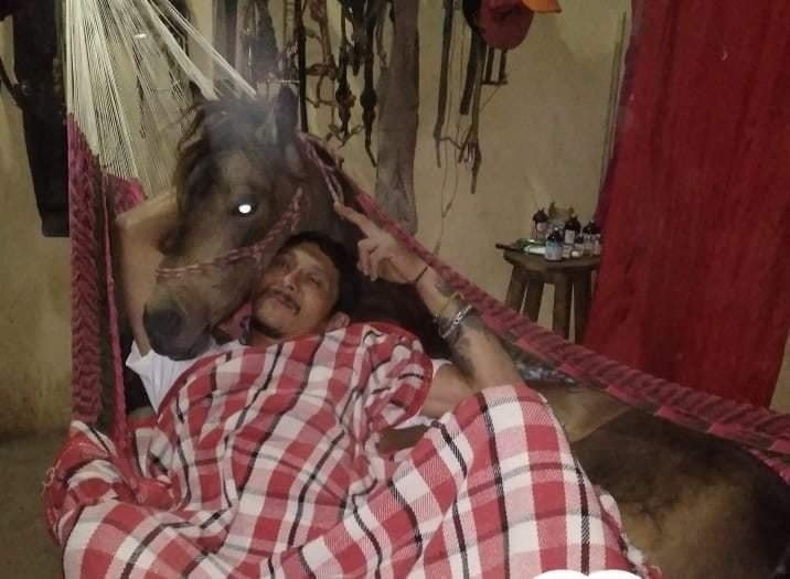 Vaquero yucateco hace ‘loch’ con su caballo para protegerlo de la ‘heladez’