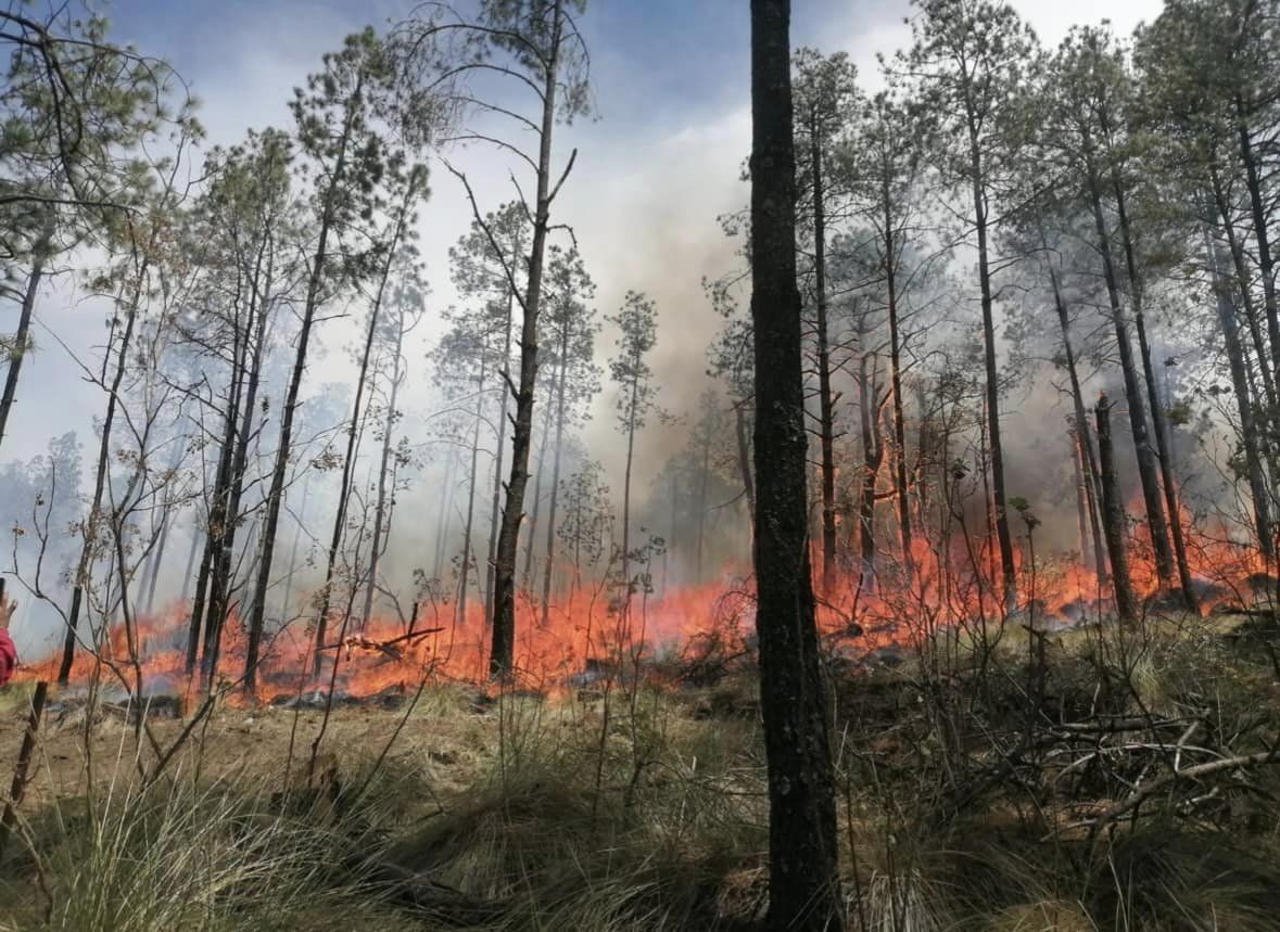 Las autoridades investigan si los 18 incendios forestales que están activos fueron provocados. Foto: FB Clau PiPe