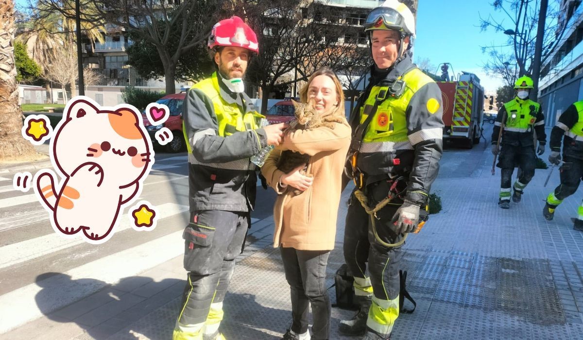 Realizando labores de recuperación de enseres y documentación, rescatistas en Valencia, España, hallaron con vida al gatito Coco Foto: Twitter @policialocalvlc