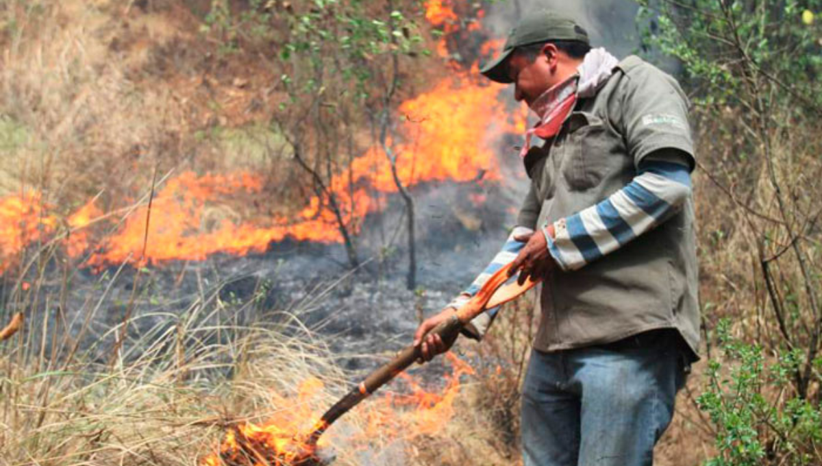 Temporada de incendios 2024: Conoce el calendario de quemas agrícolas en Yucatán