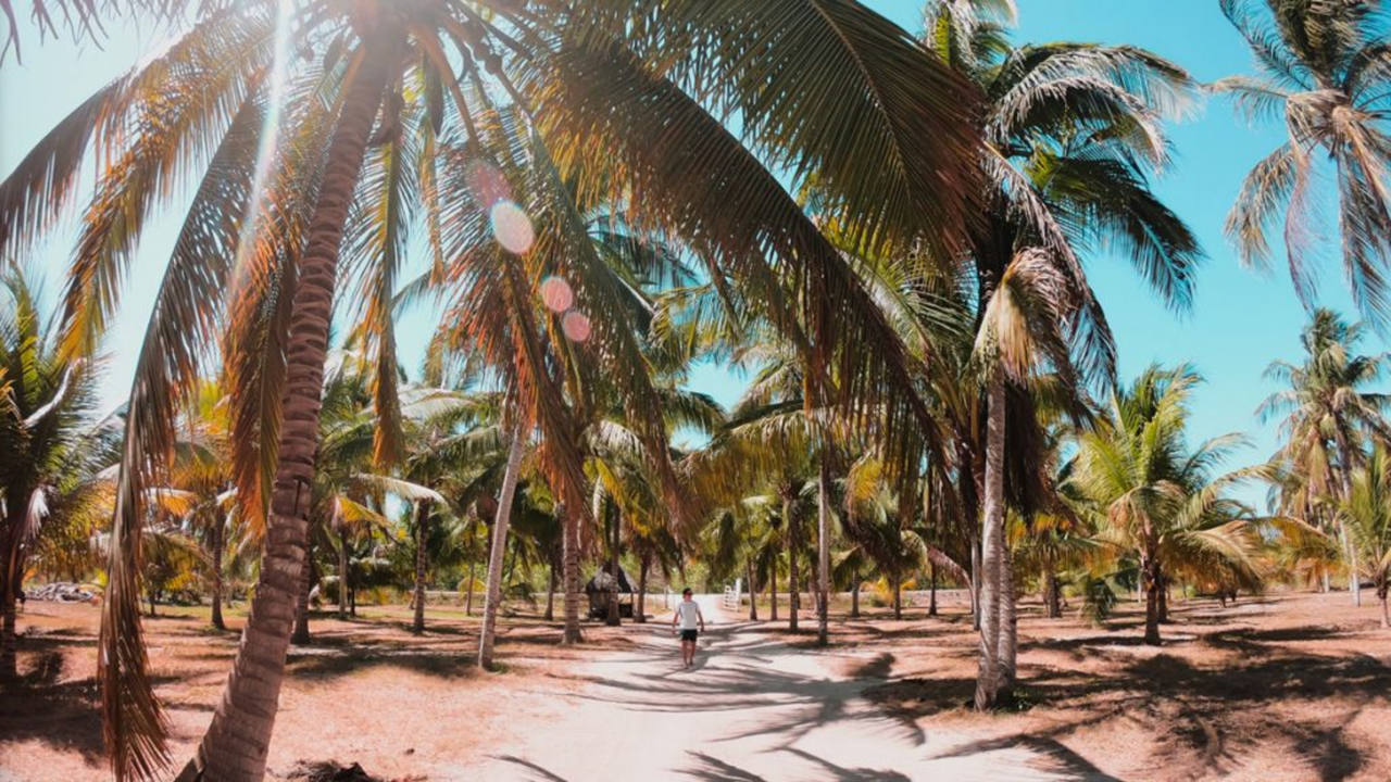 Conoce San Crisanto, el paraíso escondido en el Norte de Yucatán