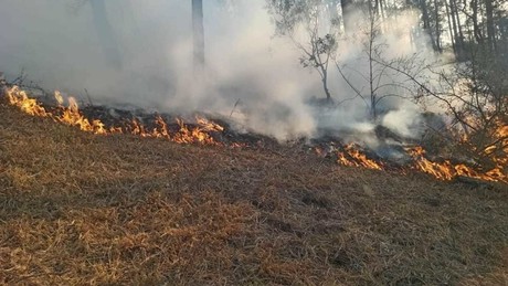 Sigue el incendio forestal en Otumba aseguran habitantes