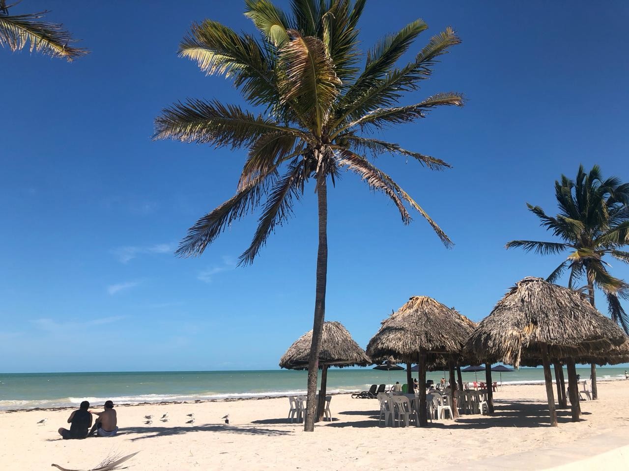 Playas de Yucatán. Foto: Irving Gil