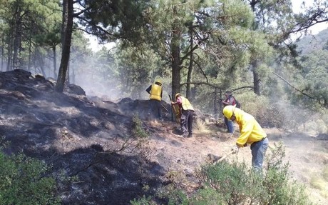Bajo control el incendio forestal en Laguna Seca en Tenango del Valle