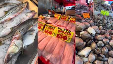 Guía para comprar los productos del mar más frescos en el mercado La Nueva Viga
