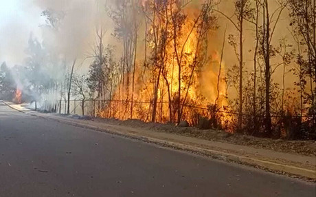 Con torres de vigilancia detectarán incendios forestales en Edoméx