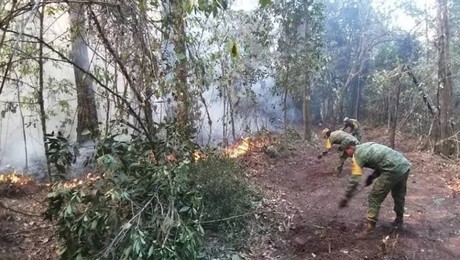 Logran apagar incendio forestal en Hidalgo, Tamaulipas