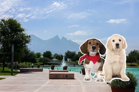 Área Canina Fundidora: el nuevo espacio para perros en Monterrey