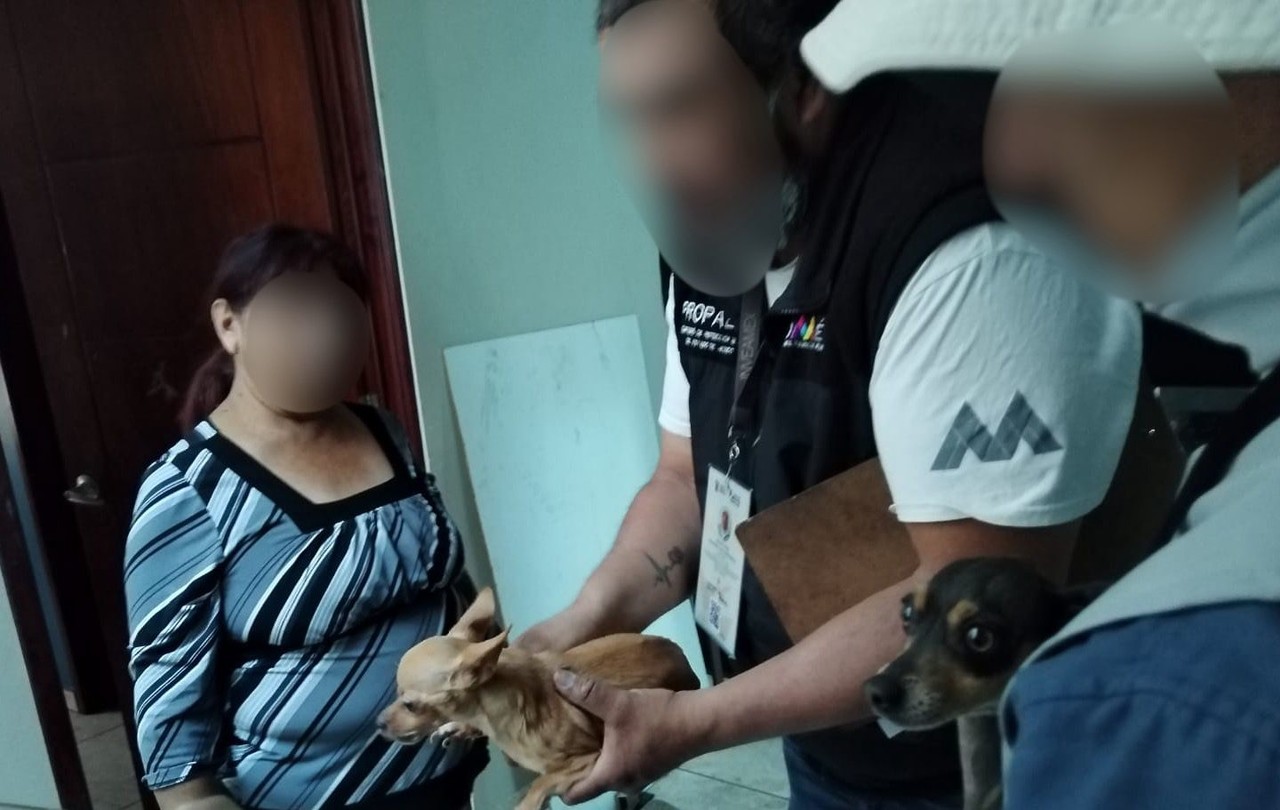 Rescatan a caninos maltratados en Nezahualcóyotl