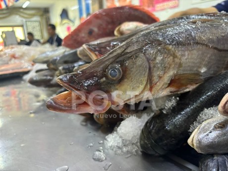 Abarrotan pescaderías previo a Viernes Santo en Monterrey