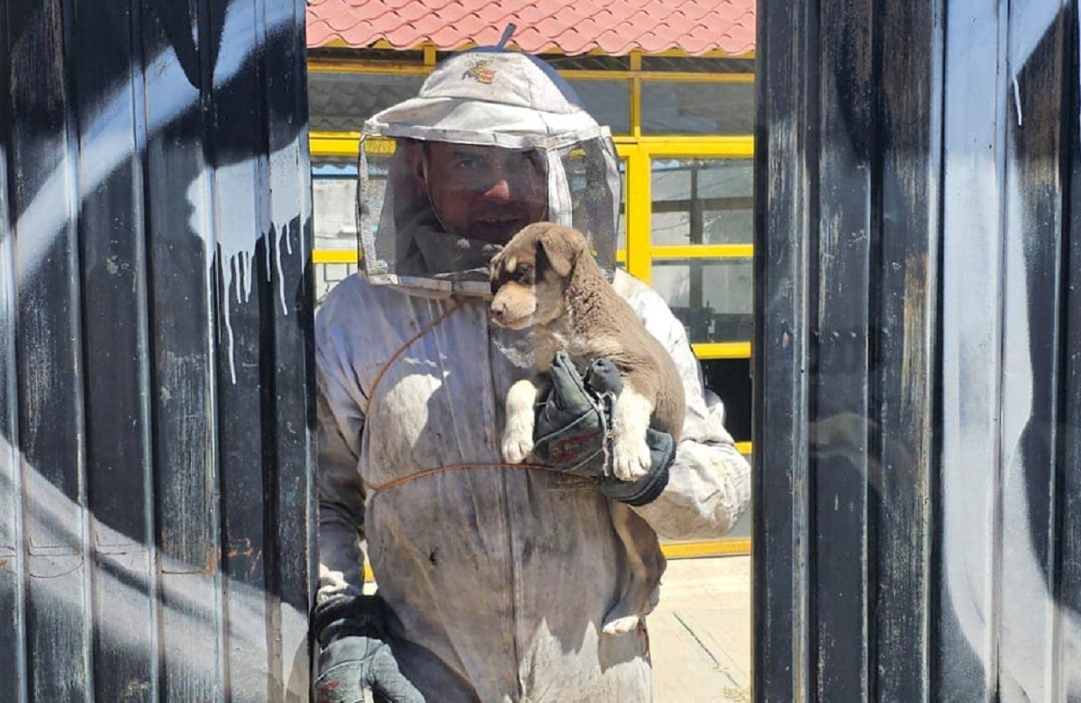 El adulto y el menor lesionados por ataque de abejas fueron trasladados a un hospital de Zacatecas, Zacatecas. Foto: Facebook PC Estatal Zacatecas