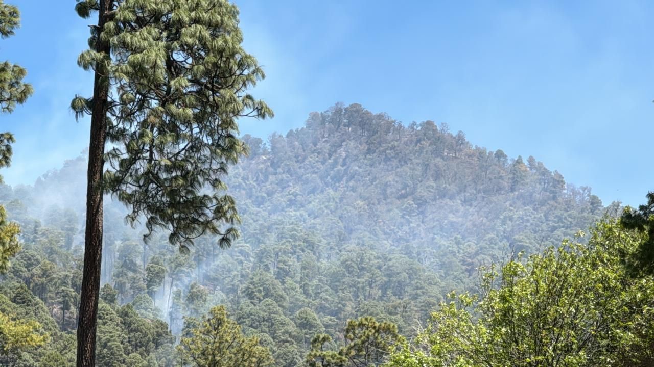 GEM reporta controlado el incendio forestal en Donato Guerra. Foto: GEM