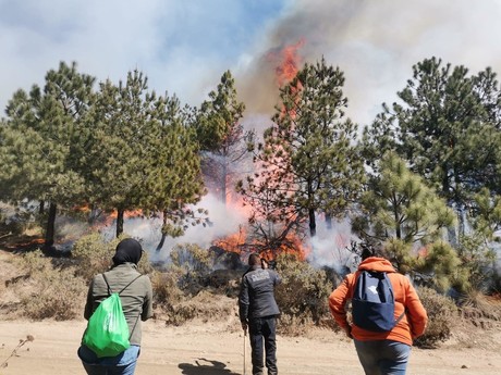Jilotzingo: Incendios forestales destruyen 600 hectáreas