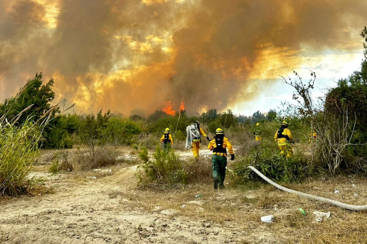 Consume incendio más de 30 hectáreas en estero de San José del Cabo
