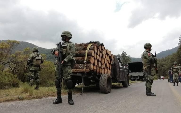 Despliegan operativo contra la tala clandestina en el Edoméx. Foto: Especial