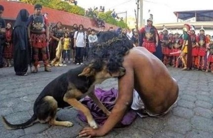 Al presenciar el maltrato hacia el actor que representaba a Jesús, el perro no dudó en mostrar su afecto, independientemente de su condición de callejero. Foto: Redes Sociales.